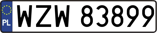 WZW83899