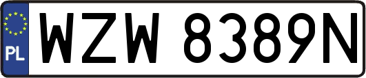 WZW8389N