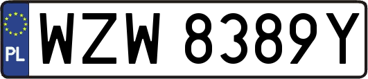 WZW8389Y