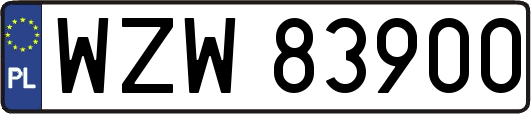 WZW83900
