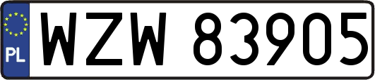 WZW83905