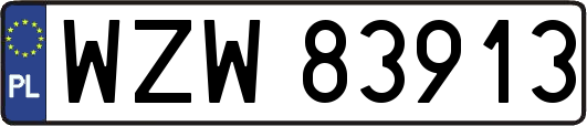 WZW83913