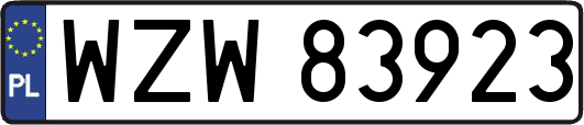 WZW83923