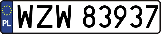WZW83937