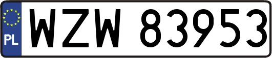 WZW83953