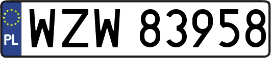 WZW83958