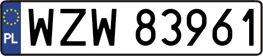 WZW83961