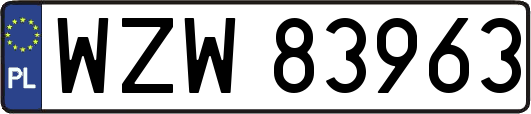 WZW83963