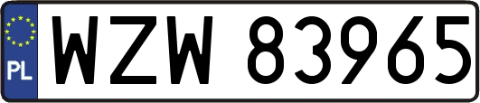 WZW83965
