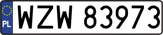 WZW83973