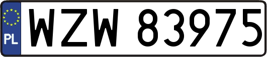 WZW83975
