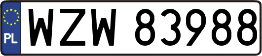WZW83988