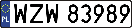 WZW83989