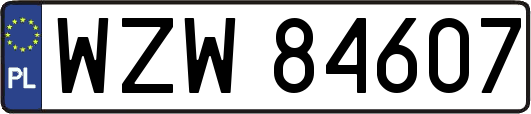 WZW84607