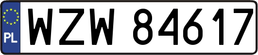 WZW84617