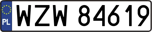 WZW84619