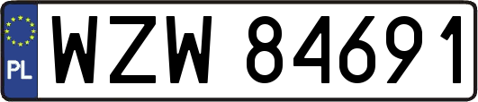 WZW84691