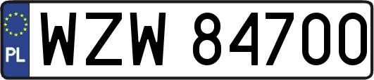 WZW84700