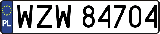 WZW84704