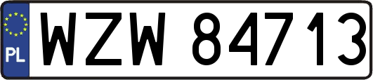 WZW84713