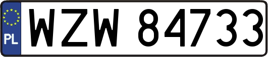 WZW84733