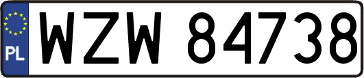 WZW84738