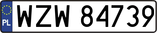WZW84739
