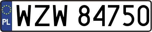 WZW84750
