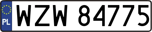 WZW84775