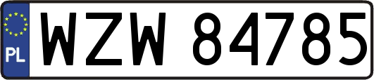 WZW84785