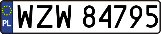 WZW84795