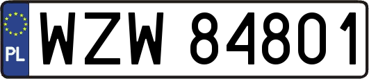 WZW84801