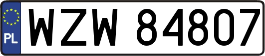 WZW84807