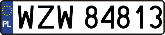 WZW84813