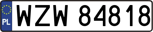 WZW84818