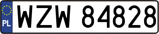 WZW84828