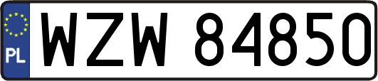 WZW84850