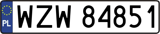 WZW84851