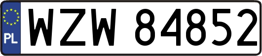 WZW84852