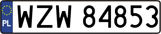 WZW84853