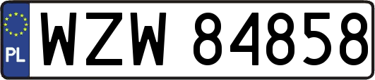WZW84858