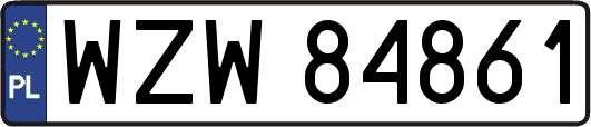 WZW84861