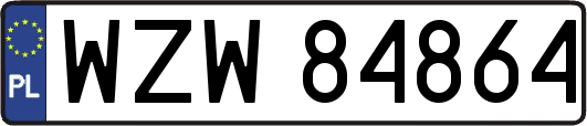 WZW84864