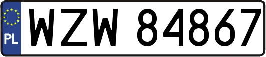 WZW84867