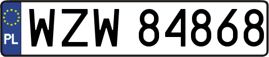 WZW84868