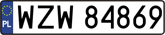 WZW84869