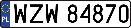 WZW84870