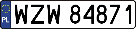 WZW84871