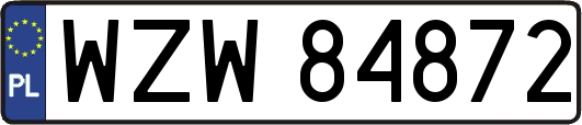 WZW84872