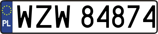 WZW84874